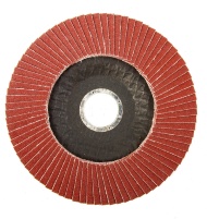 Диск 125 Р100 лепестковый торцевой